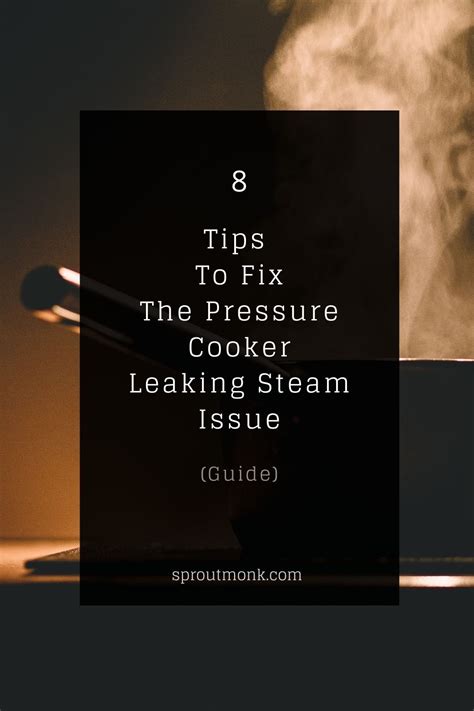 8 Tips To Fix The Pressure Cooker Leaking Steam Issue